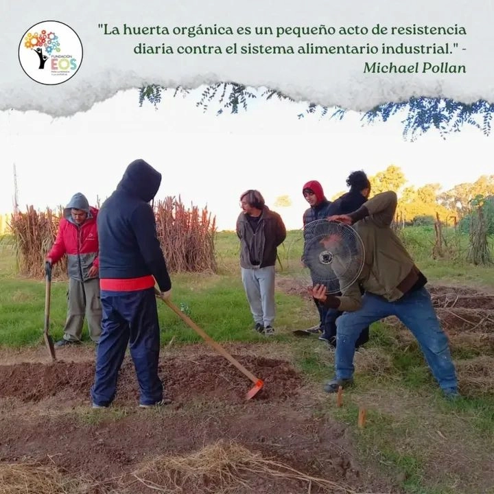 Empleabilidad - Inserción Laboral